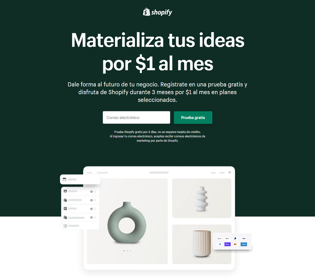 Tipo de página web, landing page
