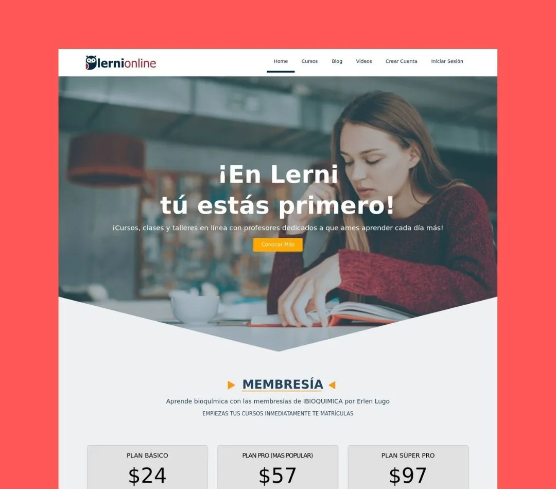 Portafolio Lerni Online Tipo de página web